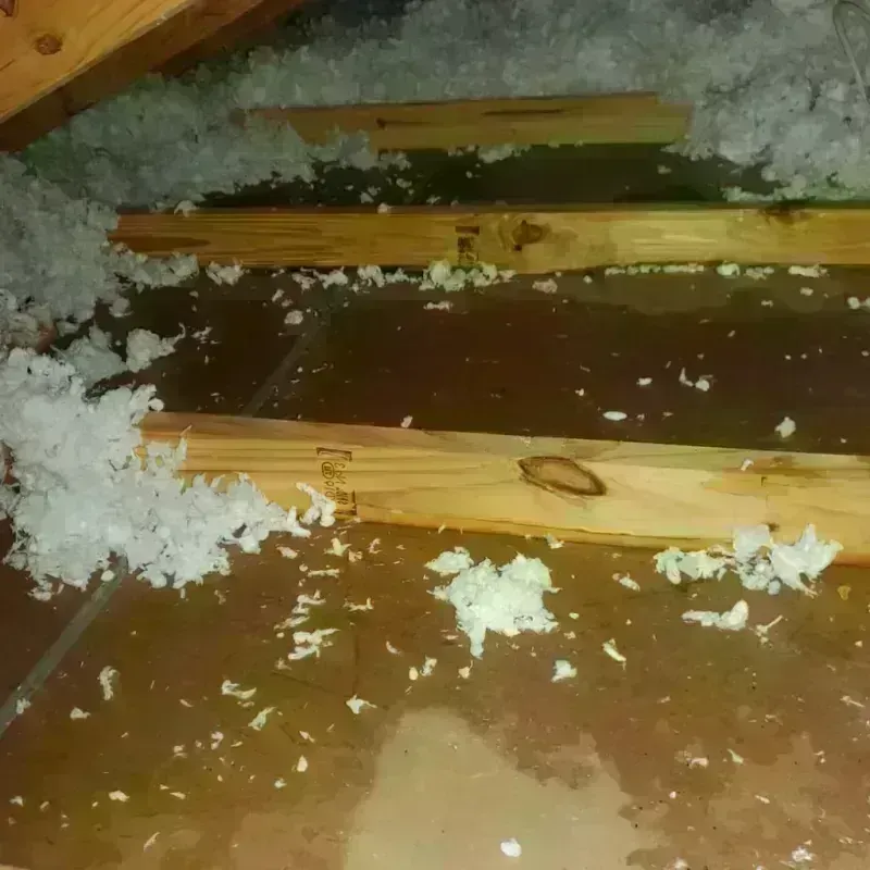 Attic Water Damage in Fruit Heights, UT